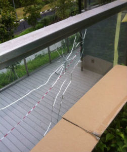 10984632_895100317193433_7071317901326853649_n